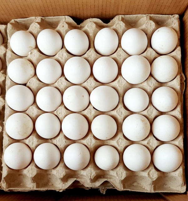 Huevo's foto | MERCADITO 516 |  BizneCubano